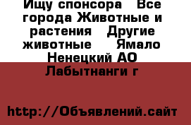 Ищу спонсора - Все города Животные и растения » Другие животные   . Ямало-Ненецкий АО,Лабытнанги г.